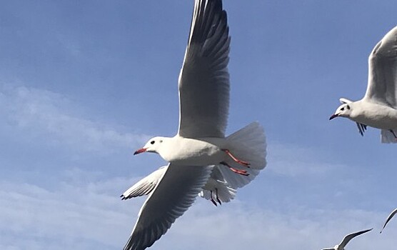 Воспитанники фотостудии «Ракурс» «Ратмира» получили грамоты
