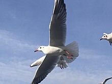 Воспитанники фотостудии «Ракурс» «Ратмира» получили грамоты