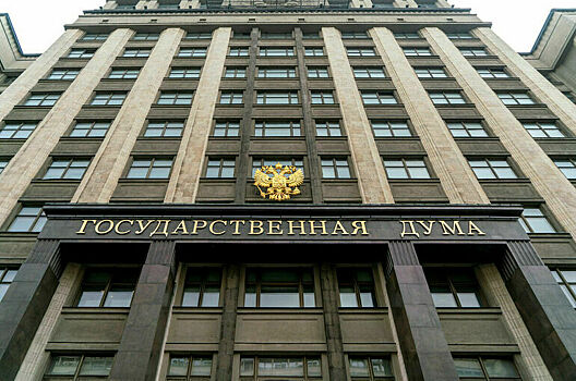 Комитет Госдумы поддержал усиление ответственности за контрабанду