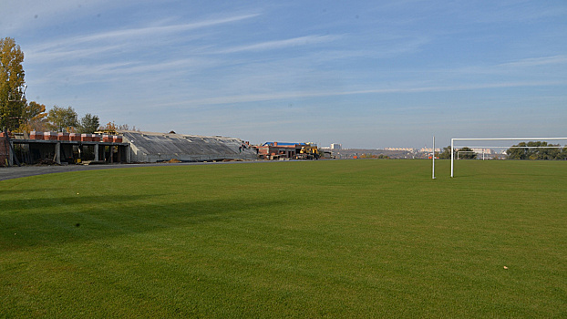 Доростоящий натуральный газон на стадионе "Авангард" заменят на искусственный