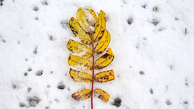 В Иркутской области выпал первый снег