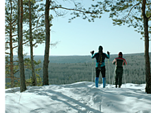 Человек против системы: "Общага" Романа Васьянова и "Подельники" Григорьева