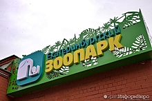 "Зяблицев-Фонд" организовал для учащихся гимназии №13 экскурсию в Екатеринбургский зоопарк