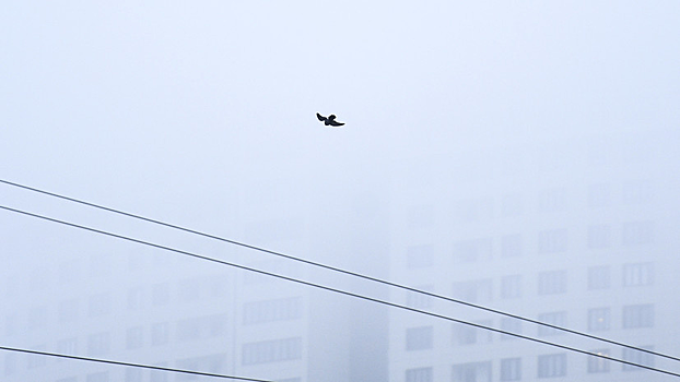 МЧС предупредило о тумане в Татарстане 28 мая