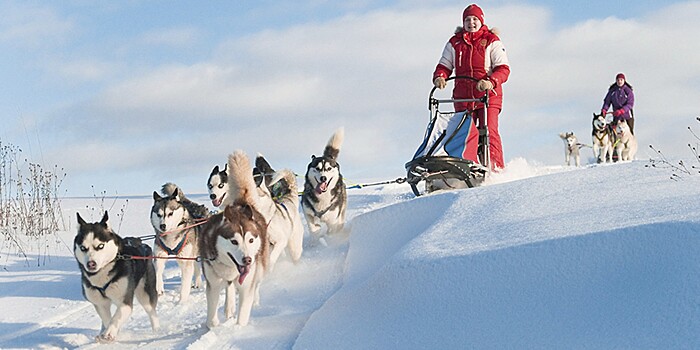 Турэксперт назвала самые необычные зимние развлечения в России
