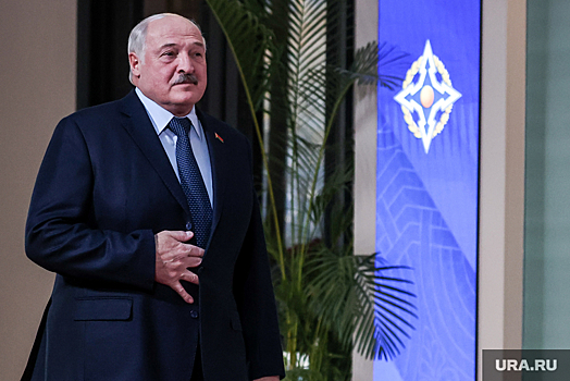 Лукашенко поручил разобраться с Wildberries, нарушившим права белорусов