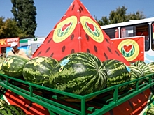 В Камышине Волгоградской области пройдет фестиваль арбузов