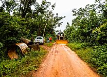 МИД Великобритании: чиновники Либерии зарабатывают на незаконной вырубке тропических лесов