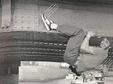 В Петербурге гостя города оштрафовали за опасный трюк на Офицерском мосту