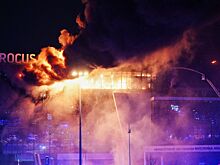 Стали известны подробности о задержании фигуранта дела о "Крокусе"