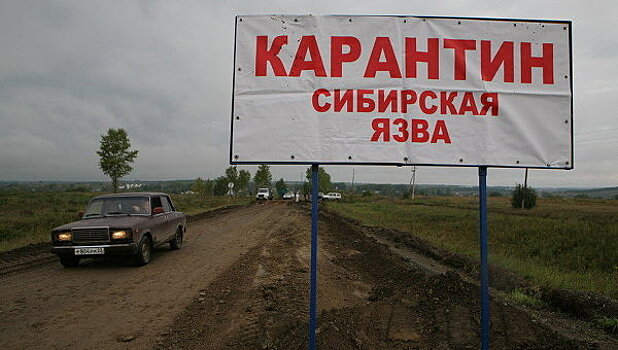 Два человека заболели сибирской язвой в Дагестане