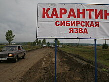 Два человека заболели сибирской язвой в Дагестане