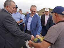 В Дагестане возродят уникальную Инчхинскую виноградную долину