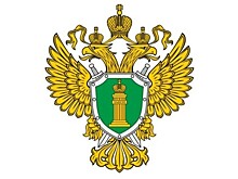 Прокуратура Севастополя выявила нарушения при проверке ГИБДД