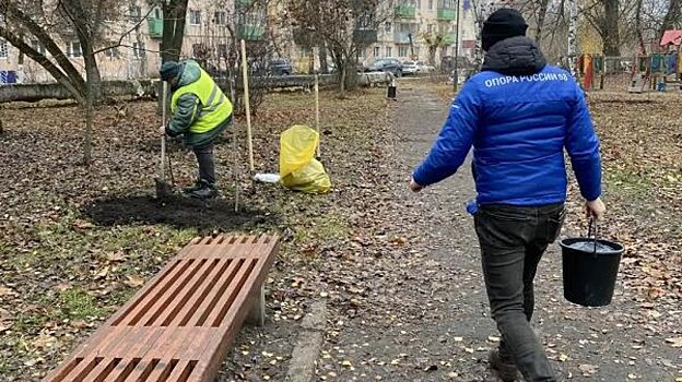 В сквере Дружбы на Шуисте высадили новые деревья