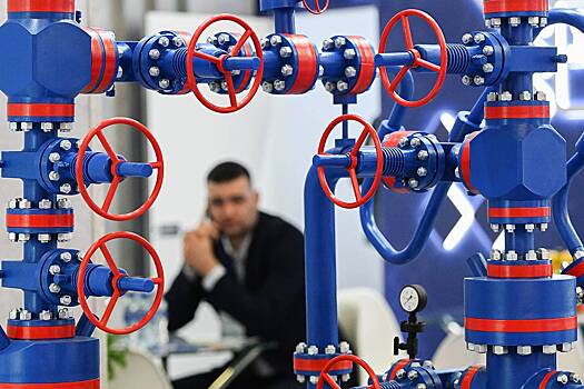 Президент Сербии разочарован предложением по поставке российского газа