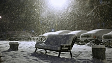 Мэр Владивостока предложил предприятиям сократить рабочий день из-за снегопада