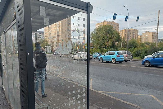 Пытавшегося разбить остановку 9-летнего кемеровчанина поставили на учет