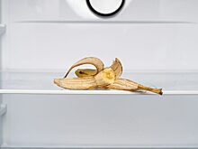 Как правильно разморозить холодильник