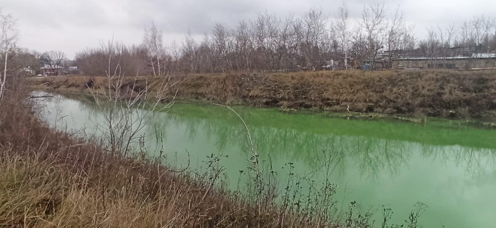 В Курске на улице Соловьиной образовалось озеро нечистот