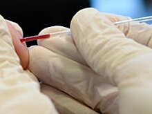 Тибетская настойка на чесноке помогает очистить кровь и лимфу