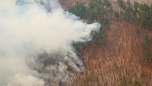 На северо-востоке Японии объявили эвакуацию из-за лесного пожара