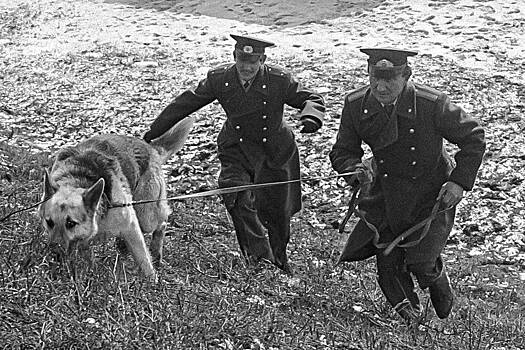 Как 60 лет назад в СССР раскрывали жестокое убийство, о котором заговорил весь мир
