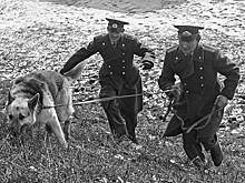 Как 60 лет назад в СССР раскрывали жестокое убийство, о котором заговорил весь мир