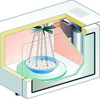 Три мифа о вреде микроволновки, которые не стоят выеденного яйца