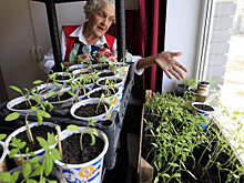 Садоводам объяснили, может ли товарищество стать населенным пунктом