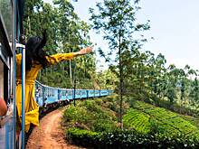 Туристка делала селфи и выпала из движущегося поезда на Шри-Ланке