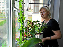 Большое переселение: Реновация в Москве проходит более успешно, чем во время переселения из хрущевок