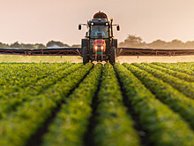 На развитие аграрного сектора Казахстана власти выделили более триллиона тенге