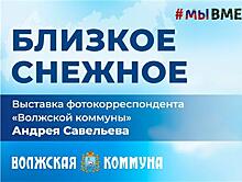 "Близкое Снежное": на медиаэкранах на площади Славы начинает работу новая экспозиция