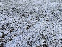 Ряд регионов России предупредили о скором снегопаде