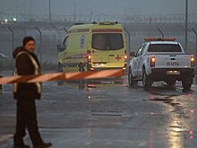 Завершено повторное следствие по делу о гибели главы Total во Внуково