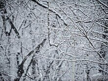 Синоптик рассказал, какой будет зима в Европе