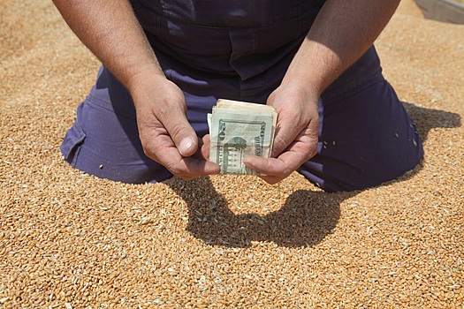 В России начинается биржевая торговля зерном