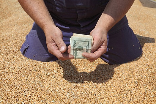 В 2024 году Россия не смогла нарастить экспорт только сельхозпродукции