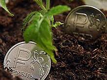 «Каждые 7-8 лет у нас девальвация нацвалюты»