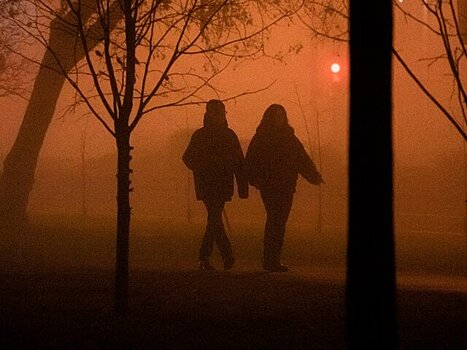 Москвичей предупредили о тумане до утра 6 октября