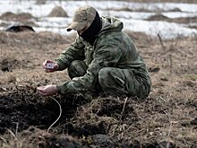 В Бердянске росгвардейцы задержали завербованного агента СБУ, готовившего диверсию