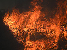 Десятки миллионов человек получили предупреждения об ухудшении воздуха из-за бушующих пожаров