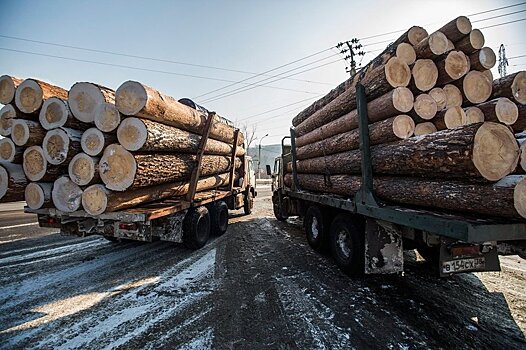 Экспорт леса из Сибири снизился на рекордные 10% с начала года