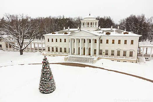 Депутат Стенякина рассказала, что каникулы продлятся с 30 декабря по 8 января