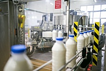 «Все распродаем и расходимся». Кировские аграрии подсчитали потери от «молочных» цен