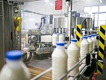 «Все распродаем и расходимся». Кировские аграрии подсчитали потери от «молочных» цен