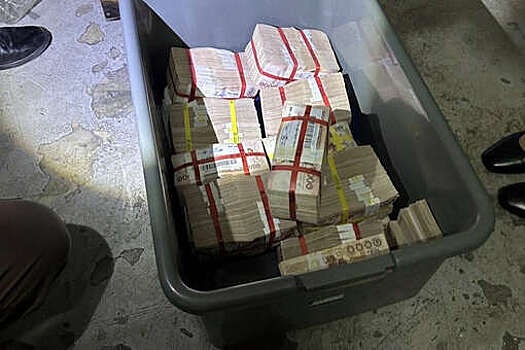 Хозяином миллионов, найденных на помойке в Таиланде, оказался местный адвокат