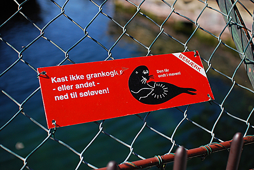 Заглавное изображение Копенгагенский зоопарк