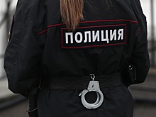 Число совершенных ОПГ преступлений в Дагестане снизилось на четверть